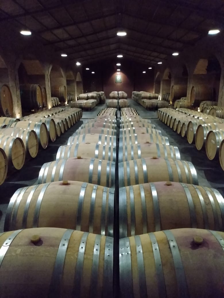 A dimly lit wine cellar filled with wooden barrels in an atmospheric setting.
